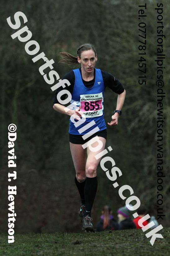 Senior womens North Eastern Cross Country, Aykley Heads, Durham. Photo: David T. Hewitson/Sports for All Pics